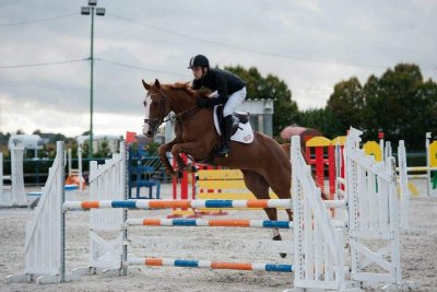 Les Écuries de La Lawe