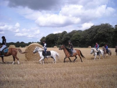 Poney Club Jules Verne