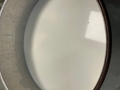 Démonstration de fabrication de fromage par un producteur