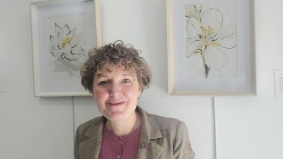 Exposition d'artiste Fanny Cail