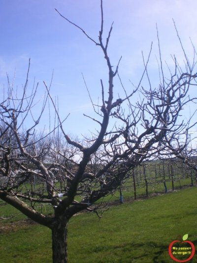 Nettoyage de la nature