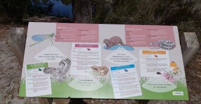 Balade à roulettes : Les lacs de Saint-Christoly-de-Blaye - Impraticable