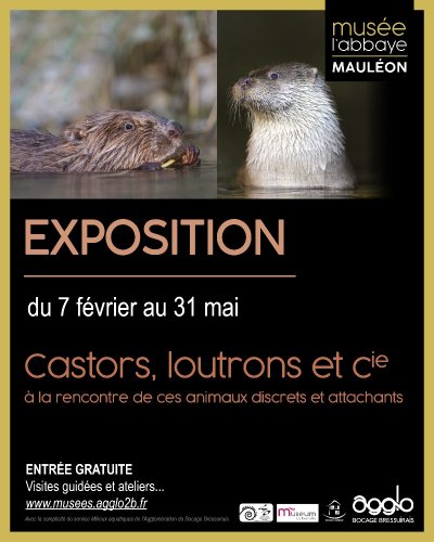 Musée L'Abbaye - Exposition - Castors, loutrons et cie