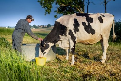 Exposition "Fiers de nos éleveurs"