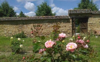 Jardin partagé des Cordeliers