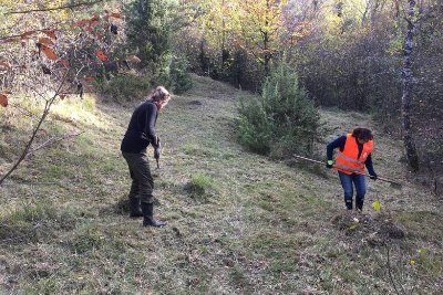 Chantier nature à Champillon