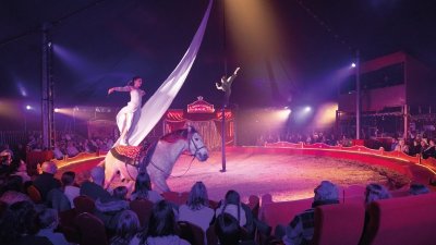 Cavallissimo - Le Printemps des Arts Equestres