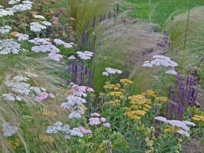 Jardin Terre d'Aïeuls