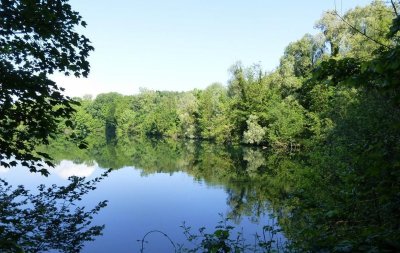 Sortie nature | Chantier nature à Saint-Vaast-lès-Mello