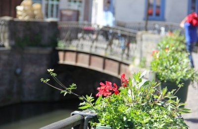 Une plongée en plein cœur du street art dans le quartier Saint-Leu
