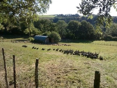 Gaec La ferme du Vialaret