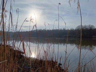 Étang du Grand Verdat