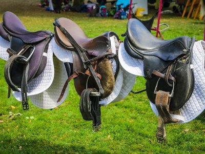 Vide-grenier, Vide-sellerie