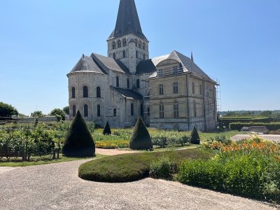 Conseils de jardinage