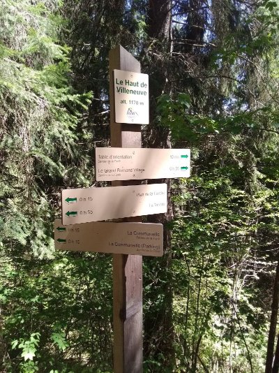 Sentier de la forêt