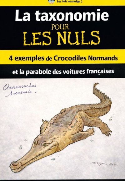 Conférence : "Les plus anciens dinosaures de Normandie"