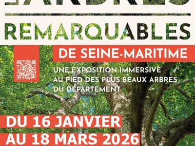 Les arbres remarquables de Seine-Maritime