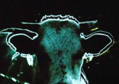 Le doigt dans l'oeil, cinéma lumière et son