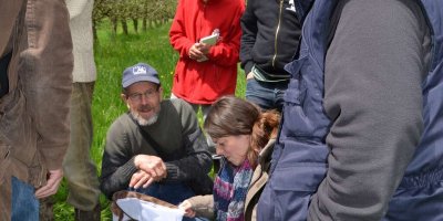 Atelier : Taille des arbres fruitiers