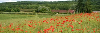 Atelier "Tetra Pak" à partir de 10 ans