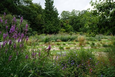 L'eau dans ma ville, ça coule de source ?