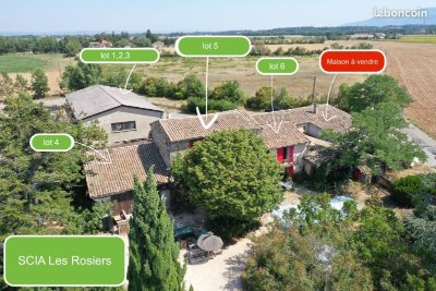 Atelier participatif : La taille des rosiers