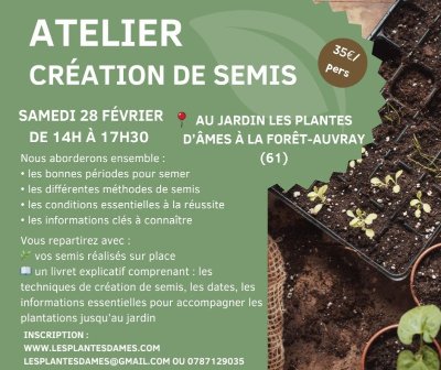 Courses de plat & haies - Premium