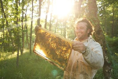 Atelier : Les secrets des abeilles