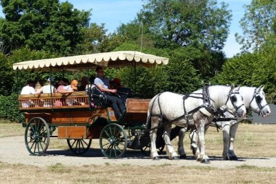 Visite ludique - La quête des sens