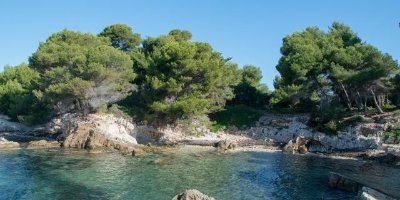 [Balade nature] Découverte de la biodiversité