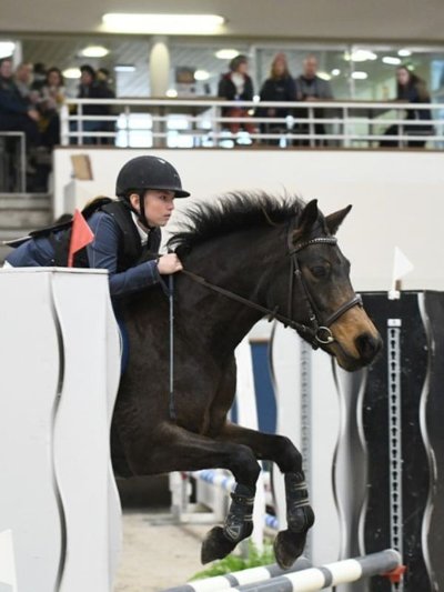 Concert du quatuor "Contrate"