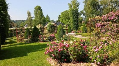 Le jardin de Suzanne