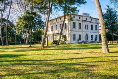 LE SECRET DE LA COLOMBE