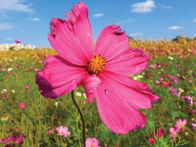 L'espace VTT des Grandes Terres