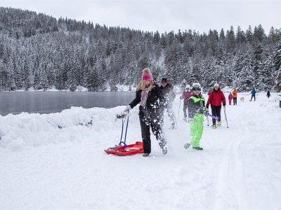 Balade en raquettes au Gaschney : Circuit 2 Autour du Sattel