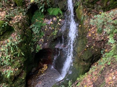 Balade : la Cascade de l'Erzenbach