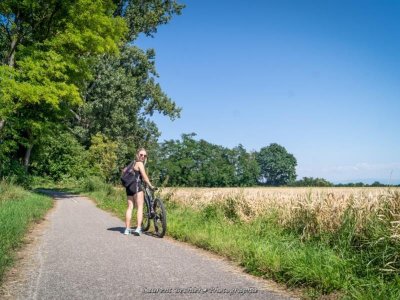 Du Rhône au Rhin, Partie Sud - D'Hirtzfelden à Ottmarsheim