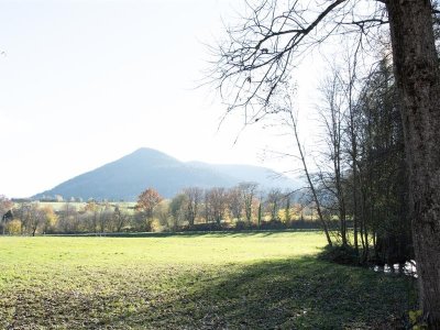 Randonnée - Les alentours de Bassemberg