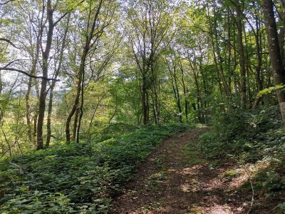 Chemin du Patrimoine "Ca coule de source"