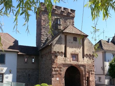 Atelier : le chevalet d'or