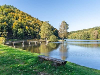 Circuit de randonnée entre le Château de Fleckenstein et Lembach