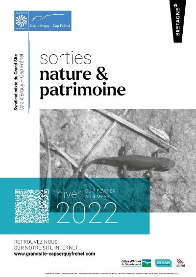 Jeu de piste : La potion magique des irréductibles gaulois