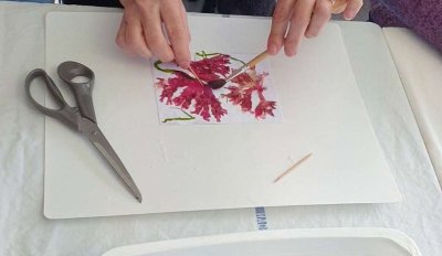 Algues trésor des océans et atelier créatif