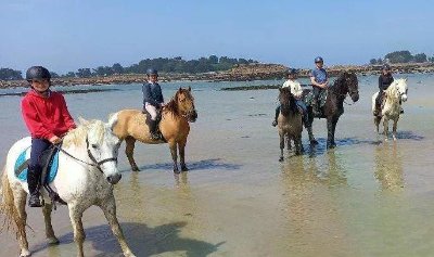 Natural Ranch - Ferme équestre