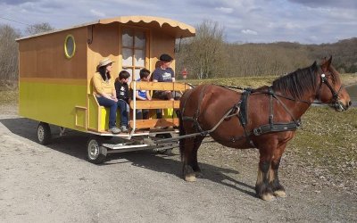 Séjour à la ferme et cheval nature