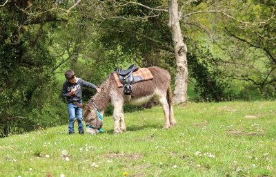 Avec mon âne, je pars planter mon pommier