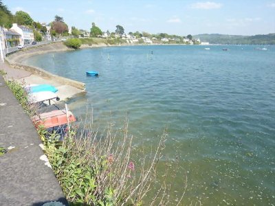 Exposition "Nature rêvée" - Brigit Ber