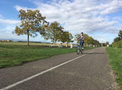 Escapade en Allemagne  - De Fessenheim à Breisach