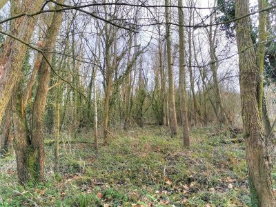 Théâtre : L'auberge du caramel