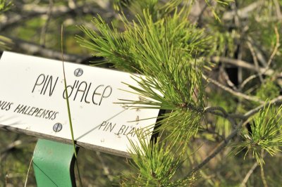 Sentier botanique de Saint-Ser